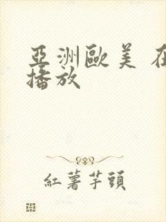 亚洲欧美 在线播放