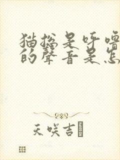 猫总是呼噜呼噜的声音是怎么回事