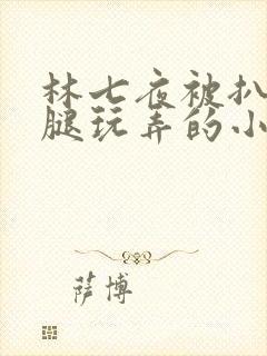 林七夜被扒开双腿玩弄的小说