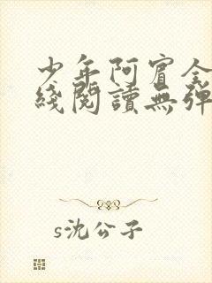 少年阿宾全文在线阅读无弹窗