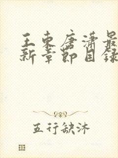 王东唐潇最新更新章节目录封面