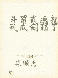 斗罗武魂龙渊剑我成剑鞘了笔趣阁封面