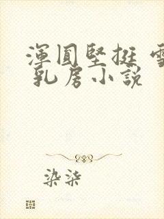 浑圆坚挺 雪白 乳房小说封面