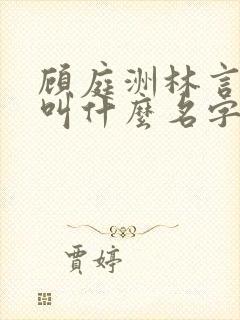 顾庭洲林言小说叫什么名字