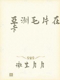 亚洲毛片在线不卡