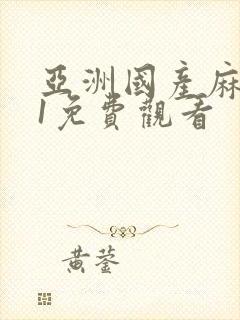 亚洲国产麻豆91免费观看