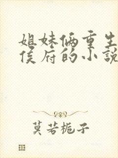 姐妹俩重生换嫁侯府的小说