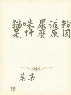 猫咪尿液粉红色是什么原因