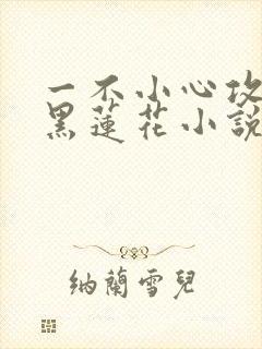 一不小心攻略了黑莲花小说封面