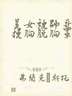 美女被帅哥亲胸摸胸脱胸罩插下面揉下面
