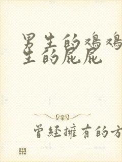 男生的鸡鸡进女生的屁屁封面