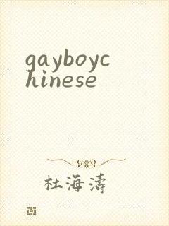 gayboychinese