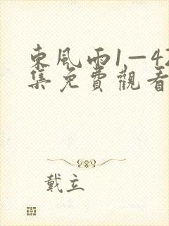 东风雨1—42集免费观看