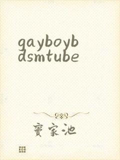 gayboybdsmtube封面
