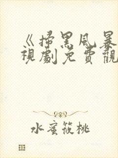 《扫黑风暴》电视剧免费观看完整版