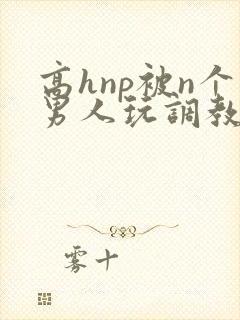 高hnp被n个男人玩调教