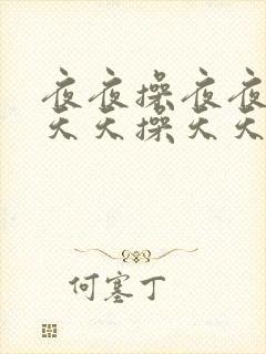 夜夜操夜夜操/天天操天天操封面