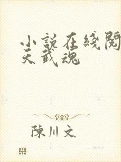 小说在线阅读霸天武魂