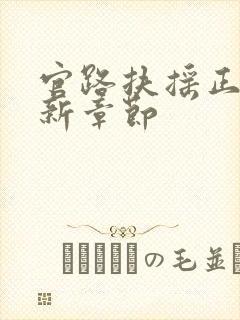 官路扶摇正版最新章节