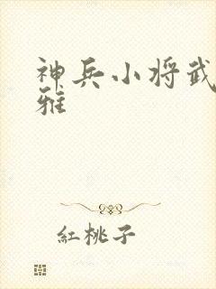 神兵小将武勇问雅