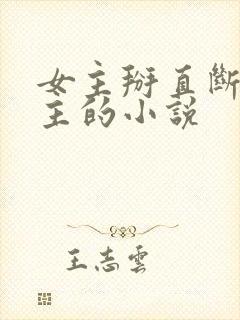 女主掰直断袖男主的小说封面