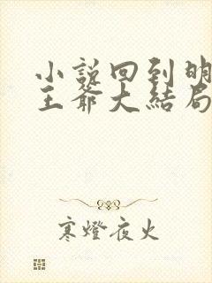 小说回到明朝当王爷大结局