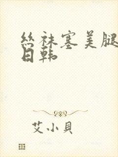 丝袜塞美腿在线日韩