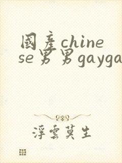国产chinese男男gaygay视频网站封面