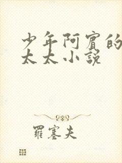 少年阿宾的房东太太小说
