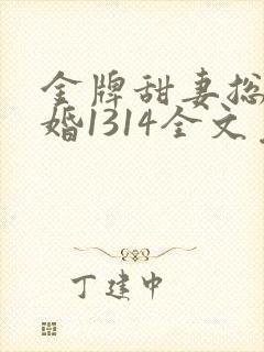 金牌甜妻总裁宠婚1314全文免费阅