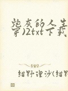 炮灰的人生(快穿)2txt下载