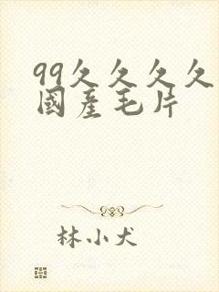 99久久久久久国产毛片