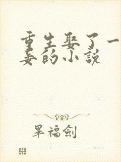 重生娶了一妻九妾的小说