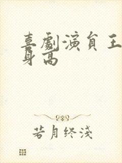 喜剧演员王天放身高封面