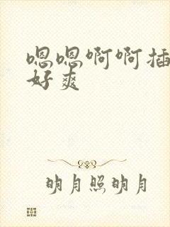 嗯嗯啊啊插得我好爽