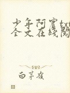 少年阿宾txt全文在线阅读