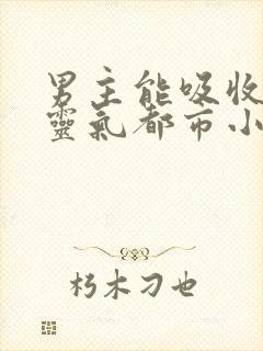 男主能吸收玉石灵气都市小说