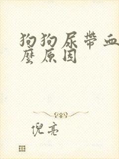 狗狗尿带血是什么原因