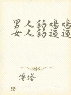 男人的鸡鸡插进女人的逼逼