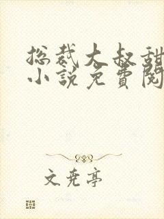 总裁大叔甜宠妻小说免费阅读