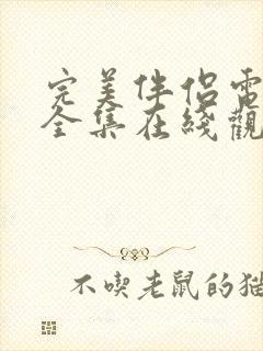 完美伴侣电视剧全集在线观看免费