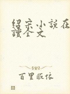 绍宋小说在线阅读全文