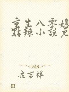 重生八零媳妇有点辣小说免费小说