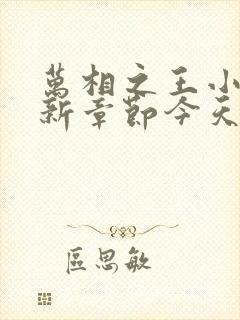 万相之王小说最新章节今天