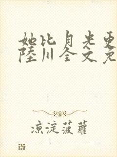 她比月光更耀眼陆川全文免费封面