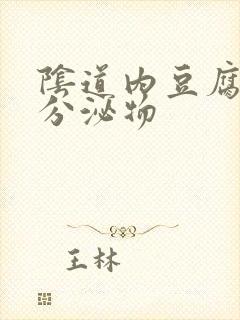 阴道内豆腐渣状分泌物