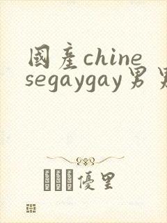 国产chinesegaygay男男网站