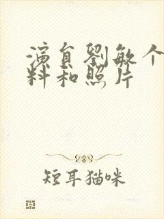 演员刘敏个人资料和照片