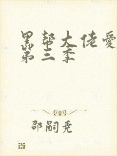 黑帮大佬爱上我第三季