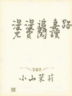 漫漫追妻路小说免费阅读